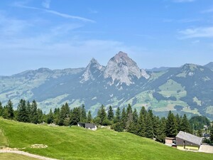 Bild 11_1hnt23vc3o3e8.jpg